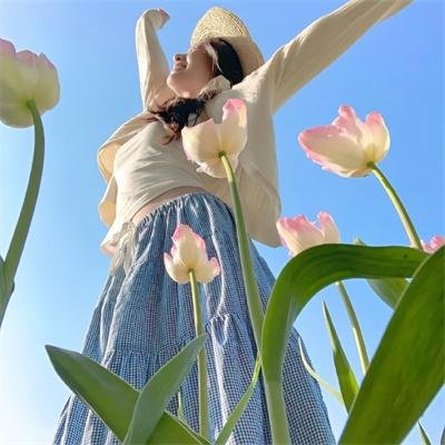 圣诞树5国语