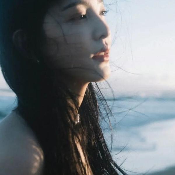 我是海鸥